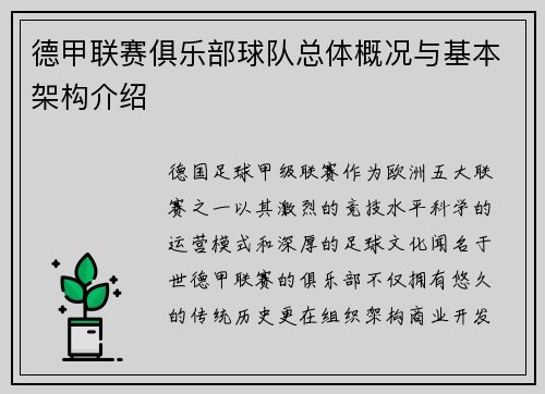 德甲联赛俱乐部球队总体概况与基本架构介绍